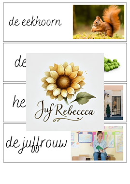 Lesmateriaal True van auteur Juf Rebecca
