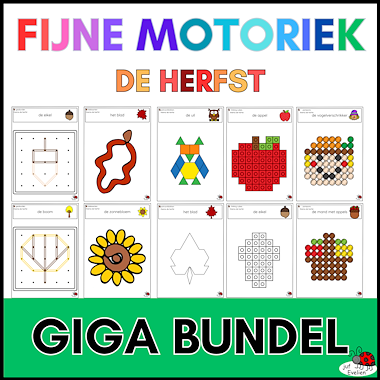 Lesmateriaal fijne motoriek: de herfst van auteur juf Evelien