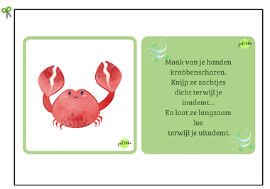 Lesmateriaal Ademhalingskaarten van auteur Juf Nika slide 3