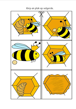 Lesmateriaal Werkboekje bijen groep 2 en 3 van auteur Juf Monique slide 4
