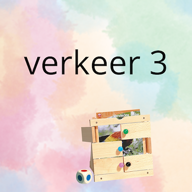 Lesmateriaal AN - het verkeer (deel 3) - spel 10: raad het plaatje van auteur Peggy Van Rompaey