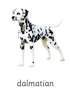 Lesmateriaal Kaspers' leer & kijk w.o. honden 1 van auteur Gratis leuke leesboekjes