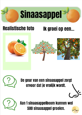 Lesmateriaal infoboekje Thema Fruit van auteur Juf Tessa slide 2