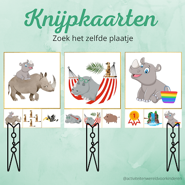 Lesmateriaal Rinus - knijpkaarten zelfde plaatje van auteur Nanny Melissa slide 1
