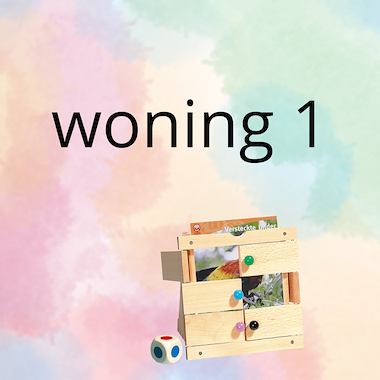 Lesmateriaal AN - mijn woning (deel 1) - spel 10: raad het plaatje van auteur Peggy Van Rompaey