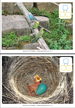 Lesmateriaal Getalverhalen bedenken - thema vogels van auteur Juf Lieselot