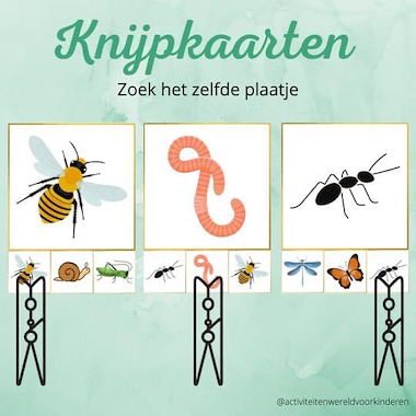 Lesmateriaal Insecten en kriebelbeestjes - knijpkaarten zelfde plaatje  van auteur Nanny Melissa
