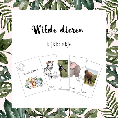 Lesmateriaal Kijkboekje Wilde dieren  van auteur MiaenCo