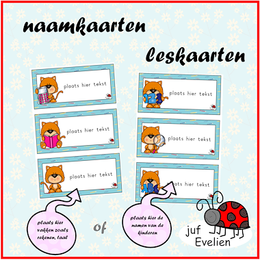Lesmateriaal naamkaarten en/of leskaarten met poezen van auteur juf Evelien