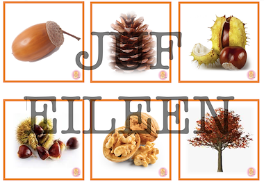 Lesmateriaal Thema herfst sprekende muur/memory kaartjes van auteur juf Eileen