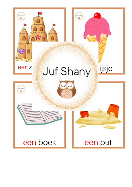 Lesmateriaal Zien is snappen 'zomer' van auteur Juf Shany