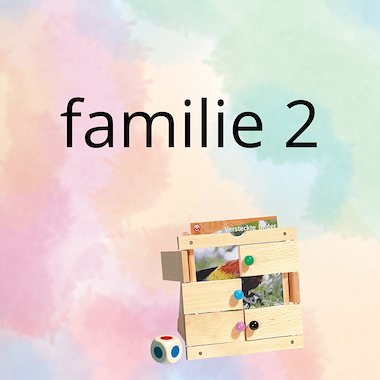 Lesmateriaal AN - mijn familie (deel 2) - spel 10: raad het plaatje van auteur Peggy Van Rompaey