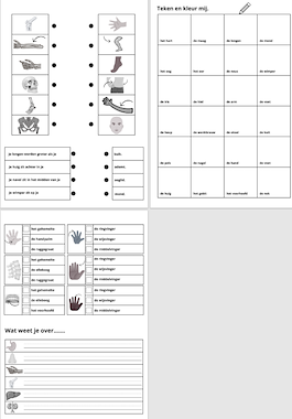 Lesmateriaal Werkboekje groep 3 thema het menselijk lichaam TAAL van auteur Juf ilona slide 3
