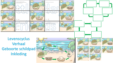 Lesmateriaal De levenscyclus van zeeschildpad - logische volgorde van auteur Little Play Friends slide 2