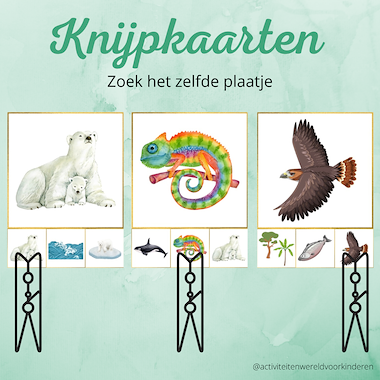 Lesmateriaal Een ijsbeer in de tropen - knijpkaarten zelfde plaatje van auteur Nanny Melissa slide 1