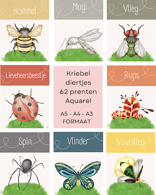 Lesmateriaal Aquarel kriebeldiertjes - 6 spelletjes van auteur Little Play Friends