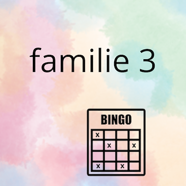 Lesmateriaal AN - mijn familie (deel 3) - spel 8: bingo van auteur Peggy Van Rompaey