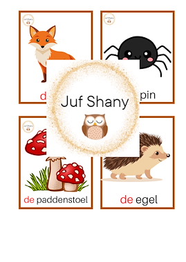 Lesmateriaal ZIS thema herfst van auteur Juf Shany slide 2