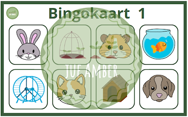 Lesmateriaal Bingo - huisdieren van auteur juf_Amber slide 3