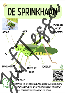 Lesmateriaal De kriebelbeestjes bundel van auteur Juf Tessa slide 4