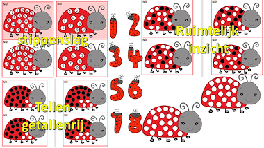 Lesmateriaal lieveheersbeestjes telbundel - wiskunde van auteur Little Play Friends slide 2