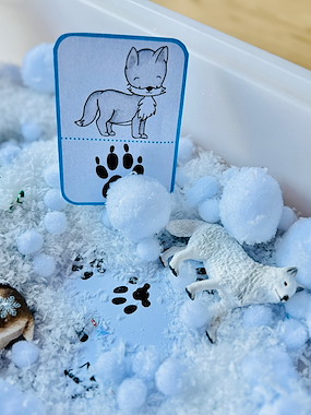 Lesmateriaal Sensorische Sneeuwsporen van auteur Peggy Wijnholds slide 2