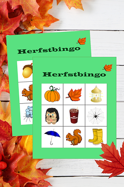 Lesmateriaal Herfstbingo van auteur Thuisfuif slide 1