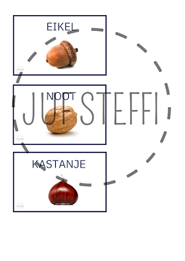 Lesmateriaal Herfstvruchten wegen opdrachtkaarten van auteur Juf Steffi slide 2