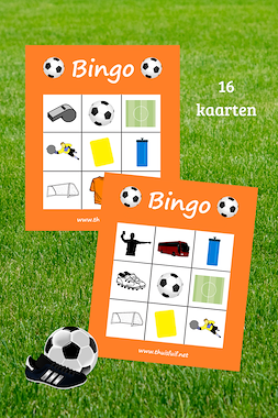 Lesmateriaal Voetbalbingo van auteur Thuisfuif