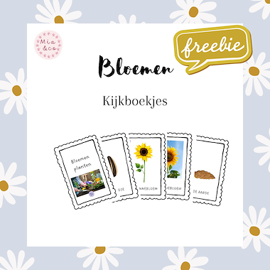 Lesmateriaal Bloemen - kijkboekjes  van auteur MiaenCo