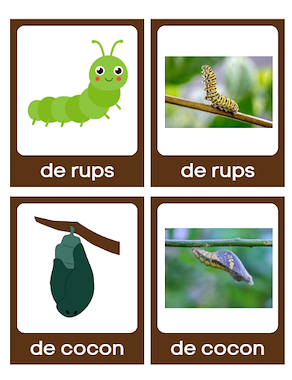 Lesmateriaal Woordkaarten Rupsje nooitgenoeg  van auteur Chiara Suetens