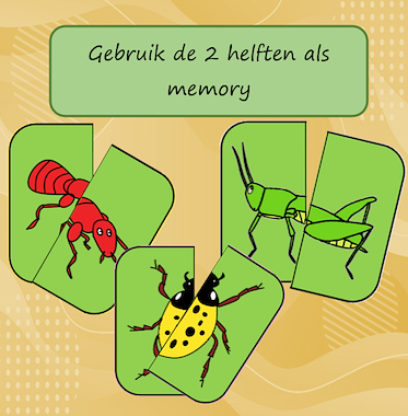 Lesmateriaal Puzzelmemory kriebeldiertjes van auteur Jabbedabbedoe slide 3