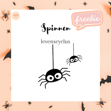 Lesmateriaal De levenscyclus van de spin van auteur MiaenCo slide 1