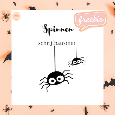 Lesmateriaal Spinnen - schrijfpatronen van auteur MiaenCo slide 1