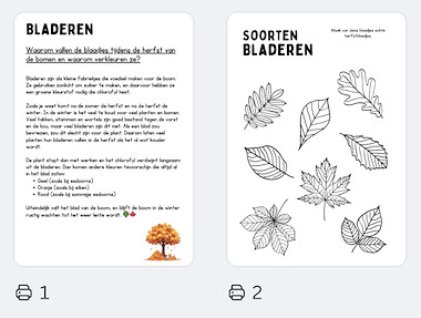 Lesmateriaal Herfstblaadjes: informatie + kleurveranderingen van auteur JufkeSarah slide 3