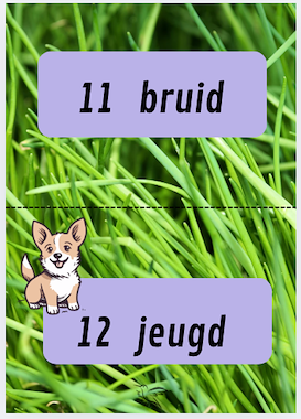 Lesmateriaal propjesdictee woorden met -d of -t van auteur Juf Kitty B slide 3