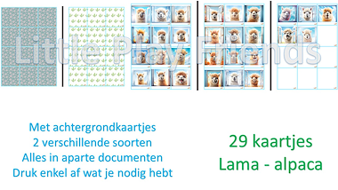 Lesmateriaal Memory - lama's en alpaca's van auteur Little Play Friends slide 3