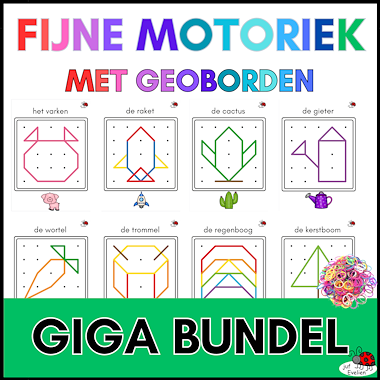 Lesmateriaal giga bundel geoborden meer dan 100 pagina's van auteur juf Evelien