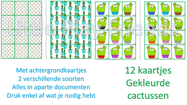 Lesmateriaal Memory - kleurrijke cactusssen van auteur Little Play Friends slide 2
