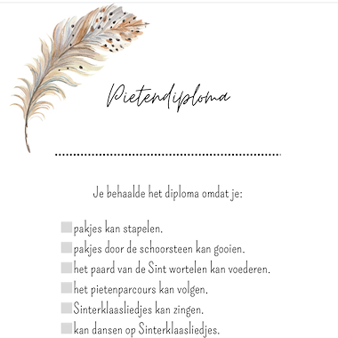 Lesmateriaal Pietendiploma van auteur Nini slide 2