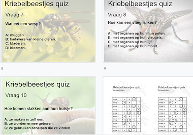 Lesmateriaal Kriebelbeestjes quiz! (leuk tijdens Gi-Ga-Groen) van auteur Juf ilona