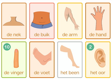 Lesmateriaal Memory: Mijn lichaam van auteur Juf_Caroline