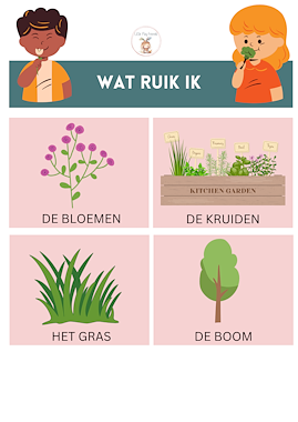 Lesmateriaal Speurtocht de zintuigen van auteur Little Play Friends slide 2