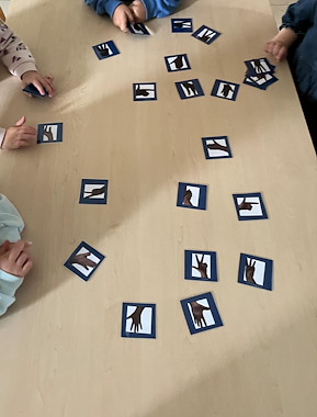 Lesmateriaal Schaduwhandenmemory van auteur Juftanie