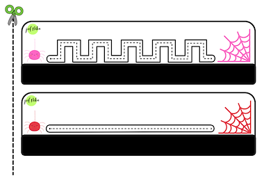 Lesmateriaal Kruipende spinnen van auteur Juf Nika slide 3