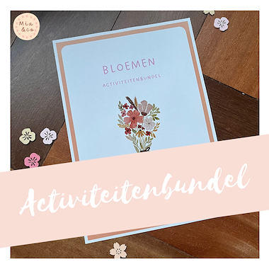 Lesmateriaal Bloemen - activiteitenbundel  van auteur MiaenCo slide 2