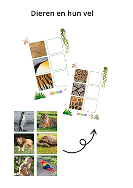 Thema dierentuin: dieren en hun huid