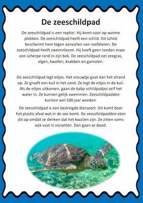 Lesmateriaal leestekst zeeschildpad van auteur juf tallie