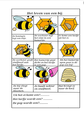 Lesmateriaal Werkboekje bijen groep 2 en 3 van auteur Juf Monique slide 3
