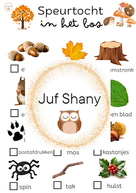 Lesmateriaal Speurtocht in het bos van auteur Juf Shany slide 1